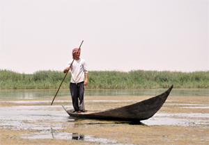 The Marshes